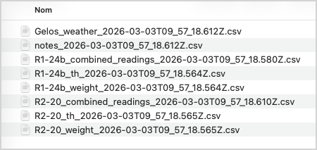File esportati dalla dashboard