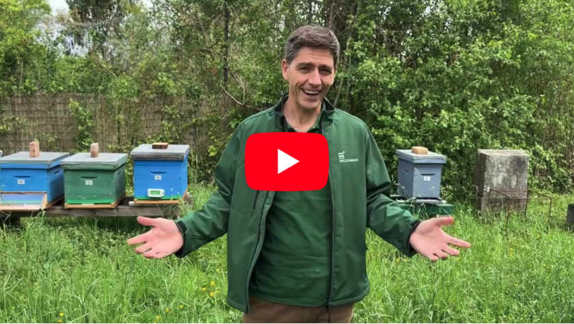 Vidéo sur les plantes