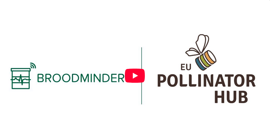 Announcing EU Pollinator Hub Integration